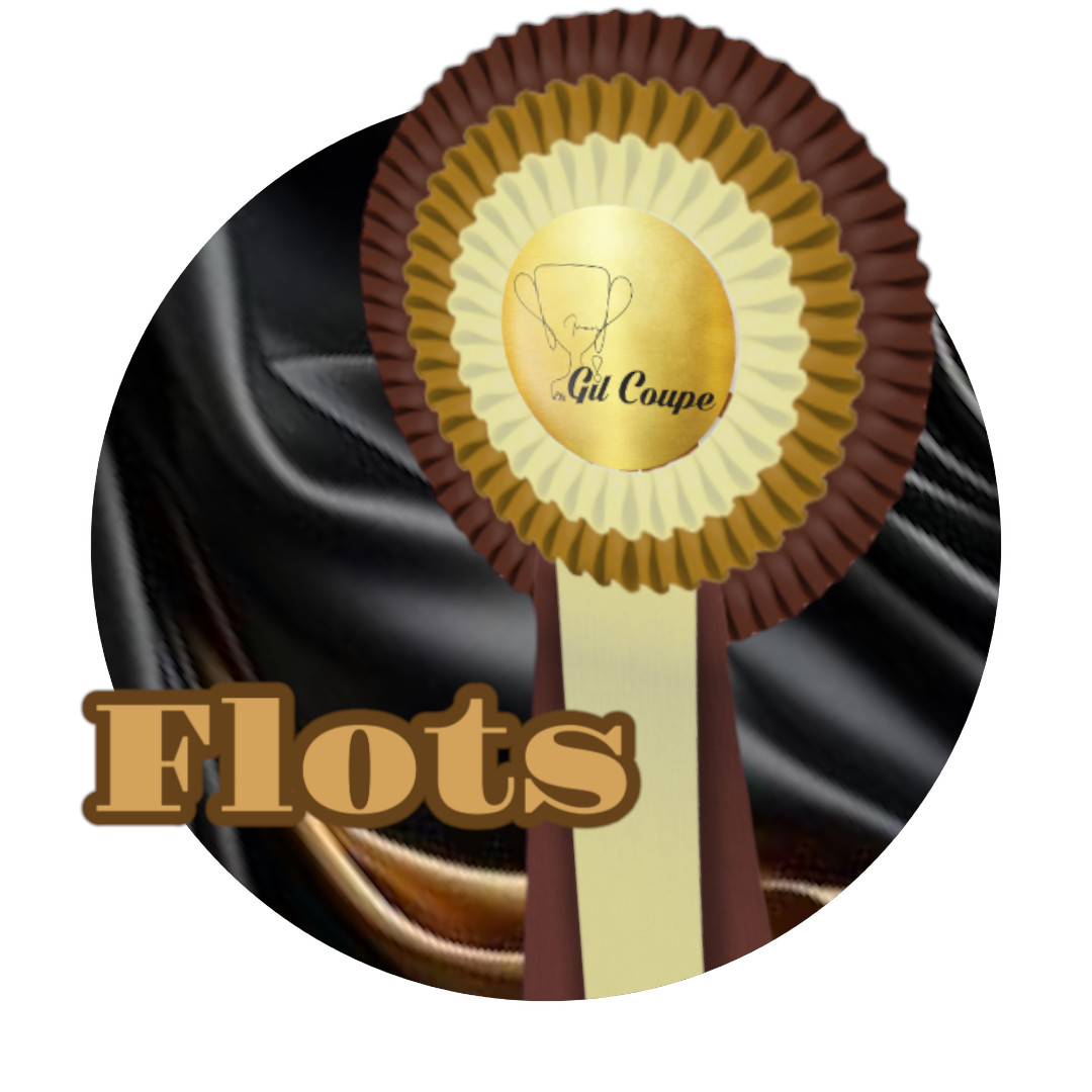 Flots